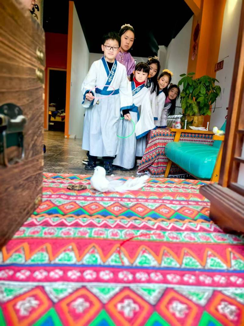 天镇县活动策划